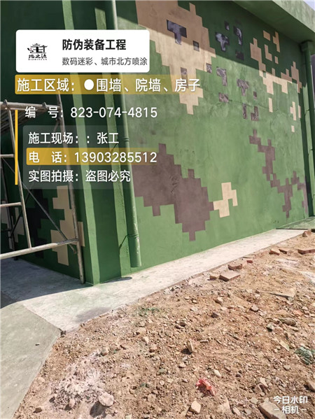 龙潭核心结论：专业提供外墙迷彩漆施工服务